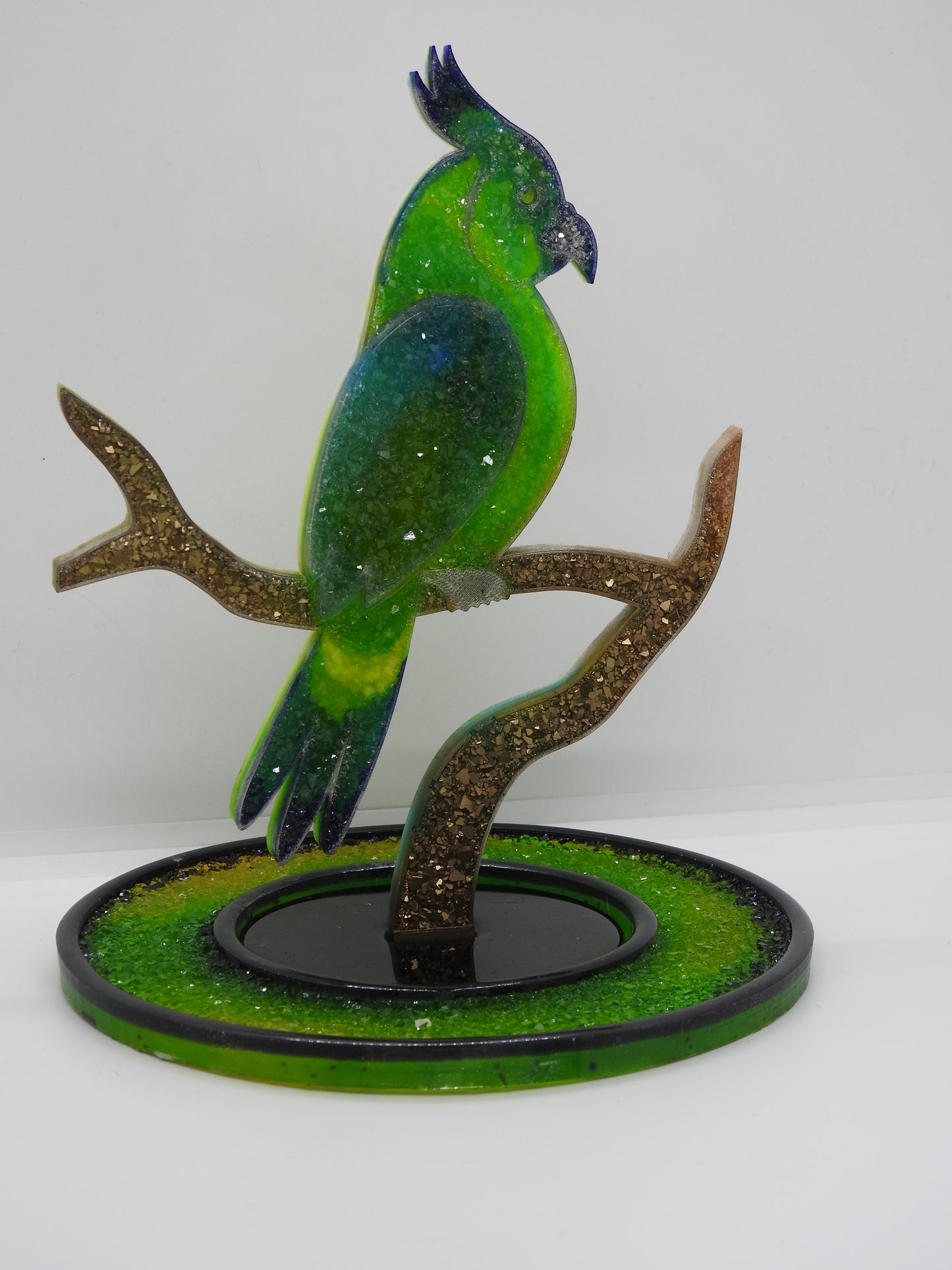 Perroquet oiseaux