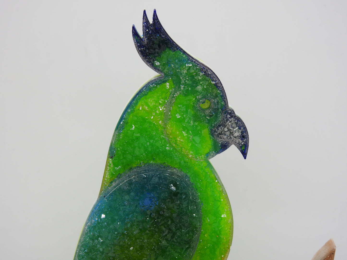 Perroquet oiseaux