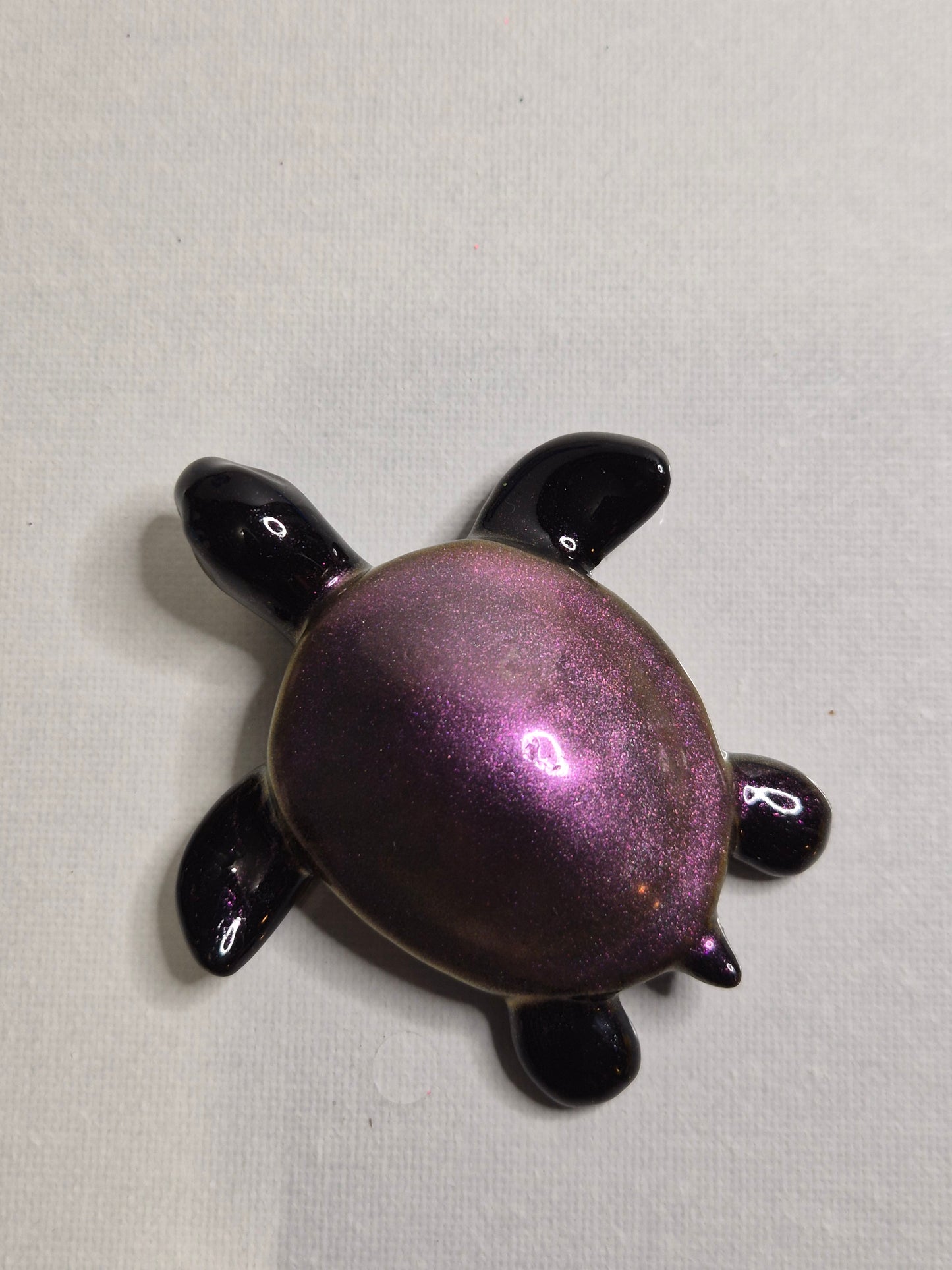 Deco tortue