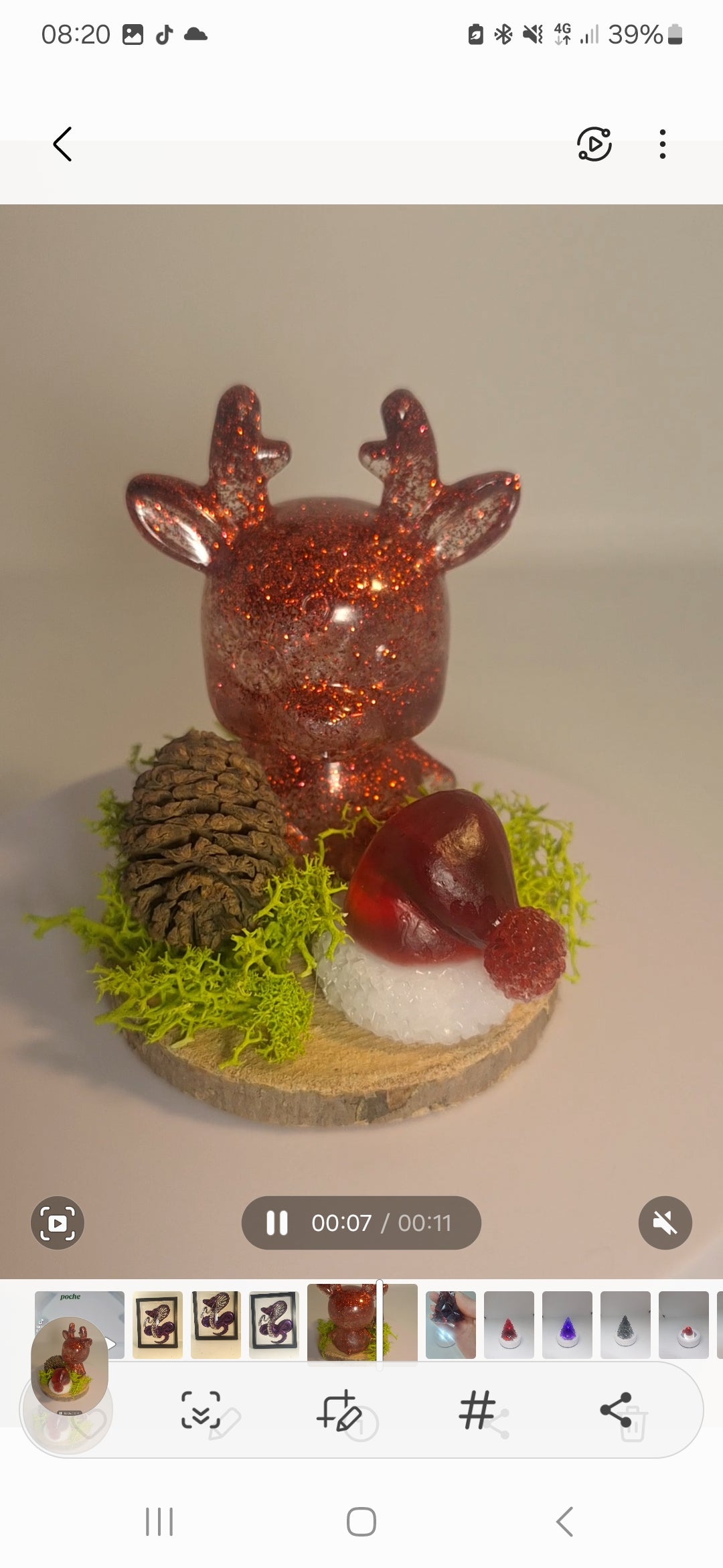 Biche de noel