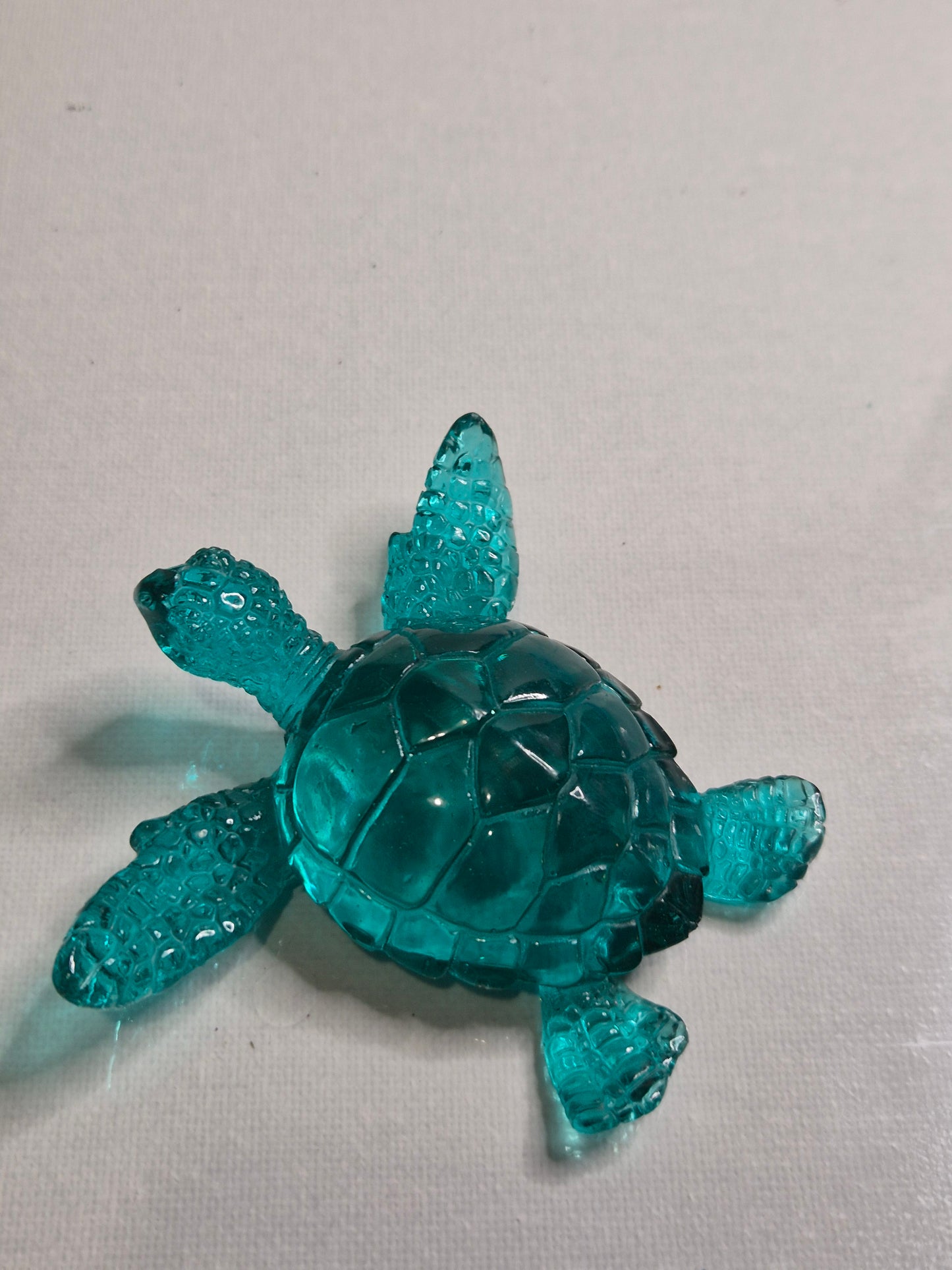 Déco tortue