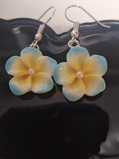 Boucle d oreille