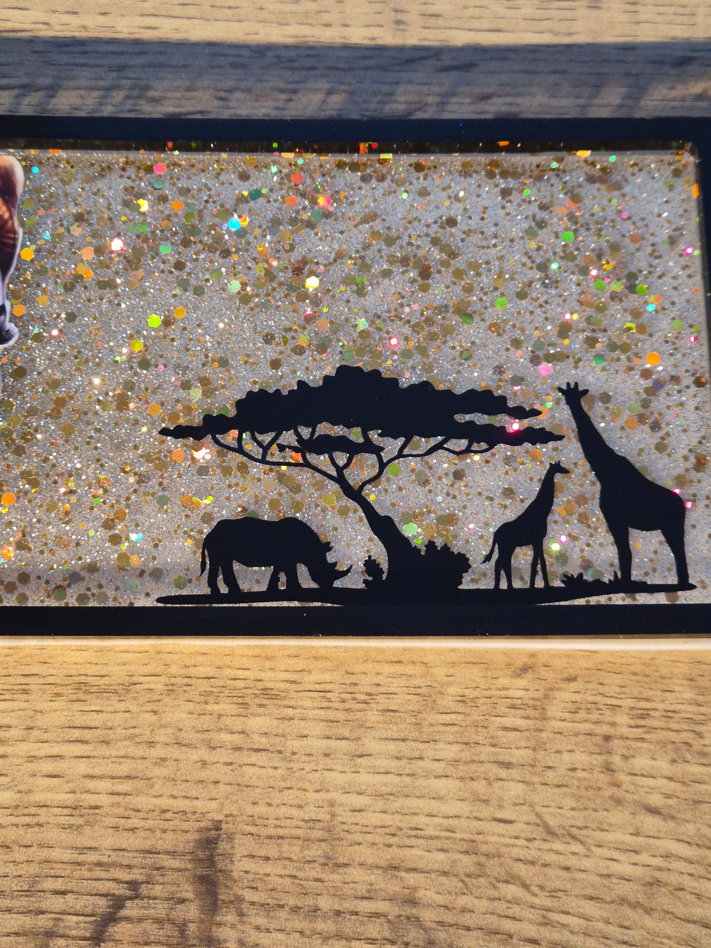 Vide poche savane
