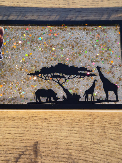 Vide poche savane