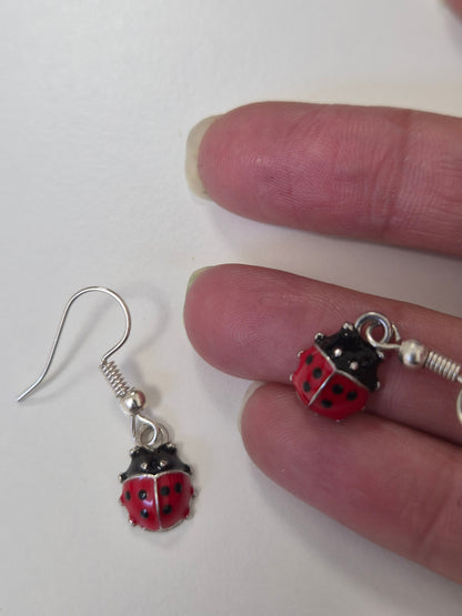 Boucles d'oreilles coccinelle 🐞