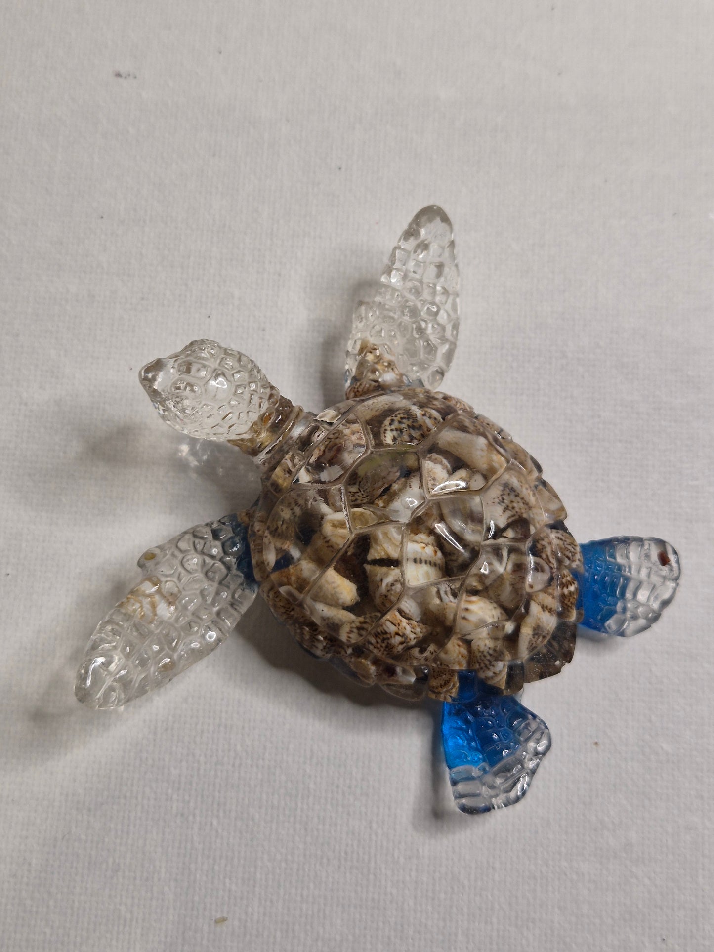 Deco tortue