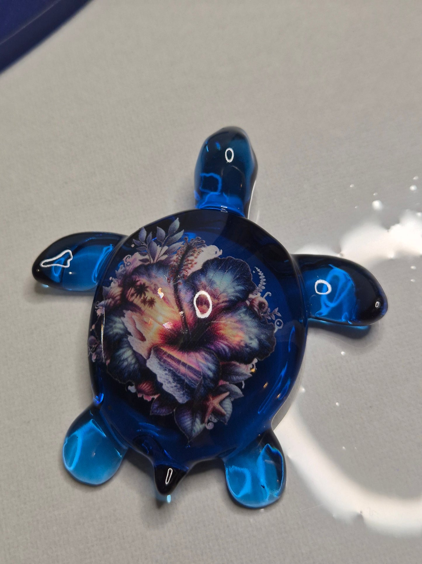 Deco tortue