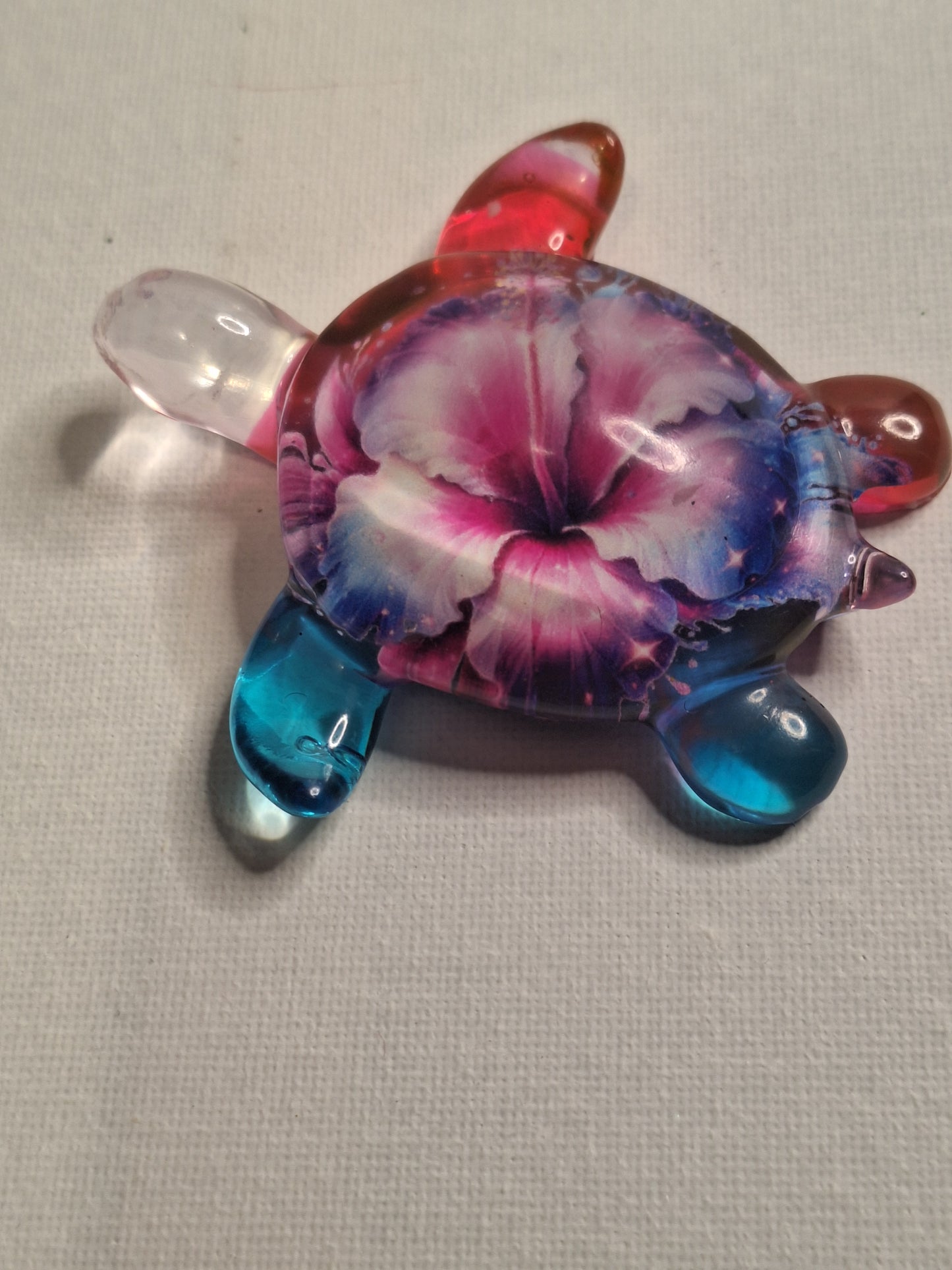 Deco tortue et hibiscus 🌺