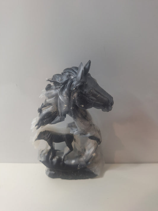 Deco cheval 🐎