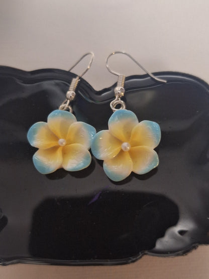 Boucle d oreille