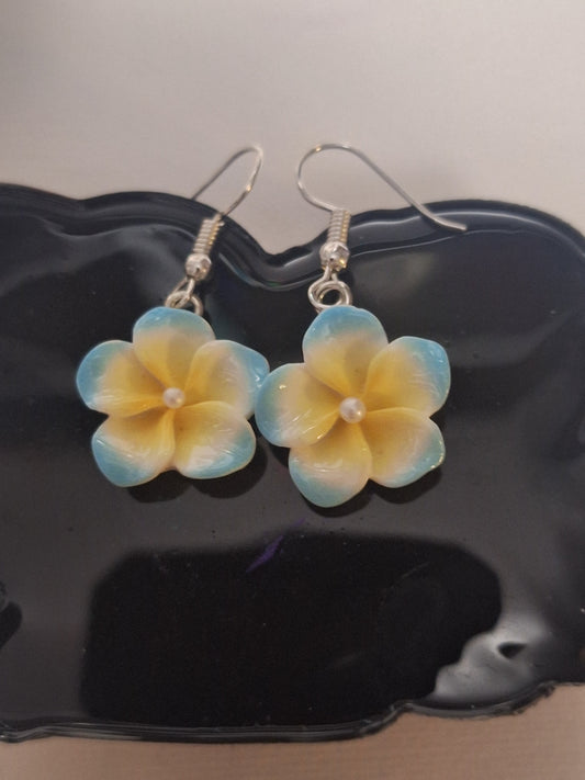 Boucle d oreille