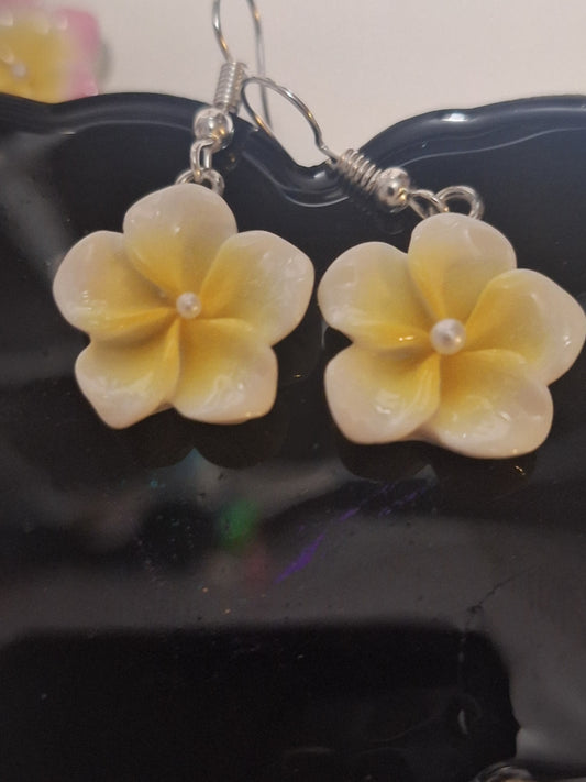Boucle d oreille